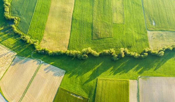 Hírdetés földeladás